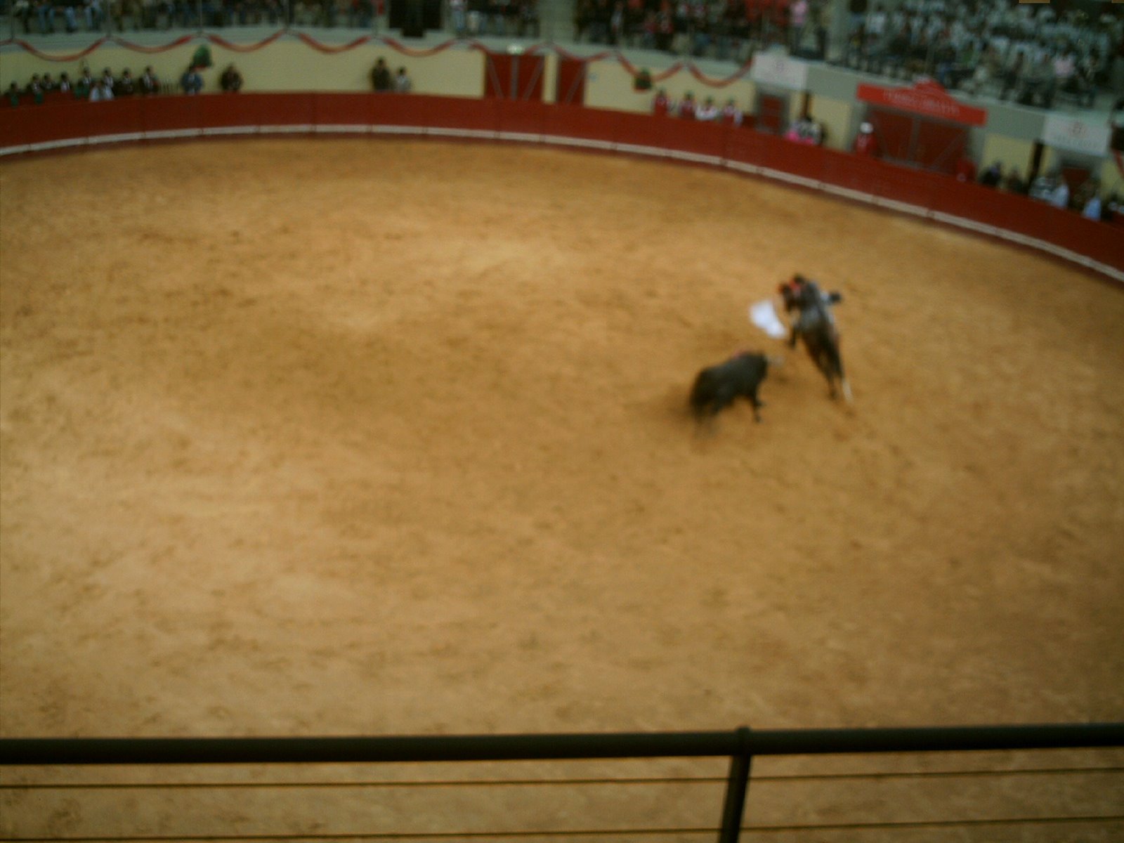 [IMAG0125.JPG]
