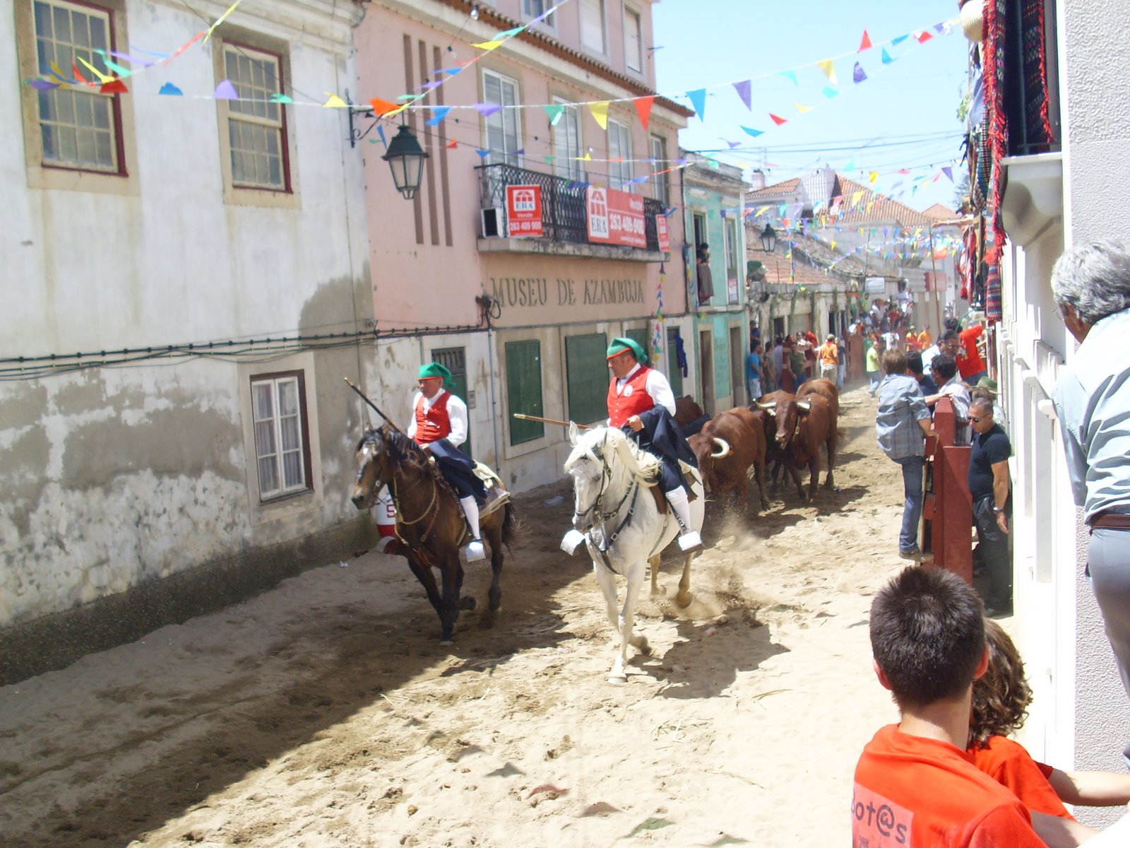 [IMG_0537.JPG]