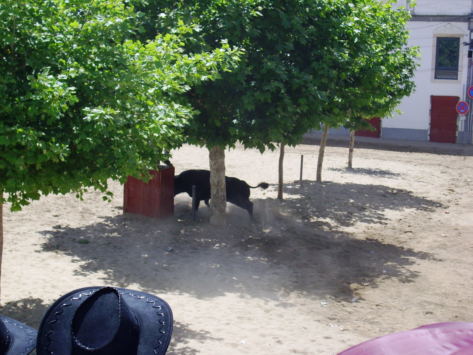 [IMG_0472.JPG]