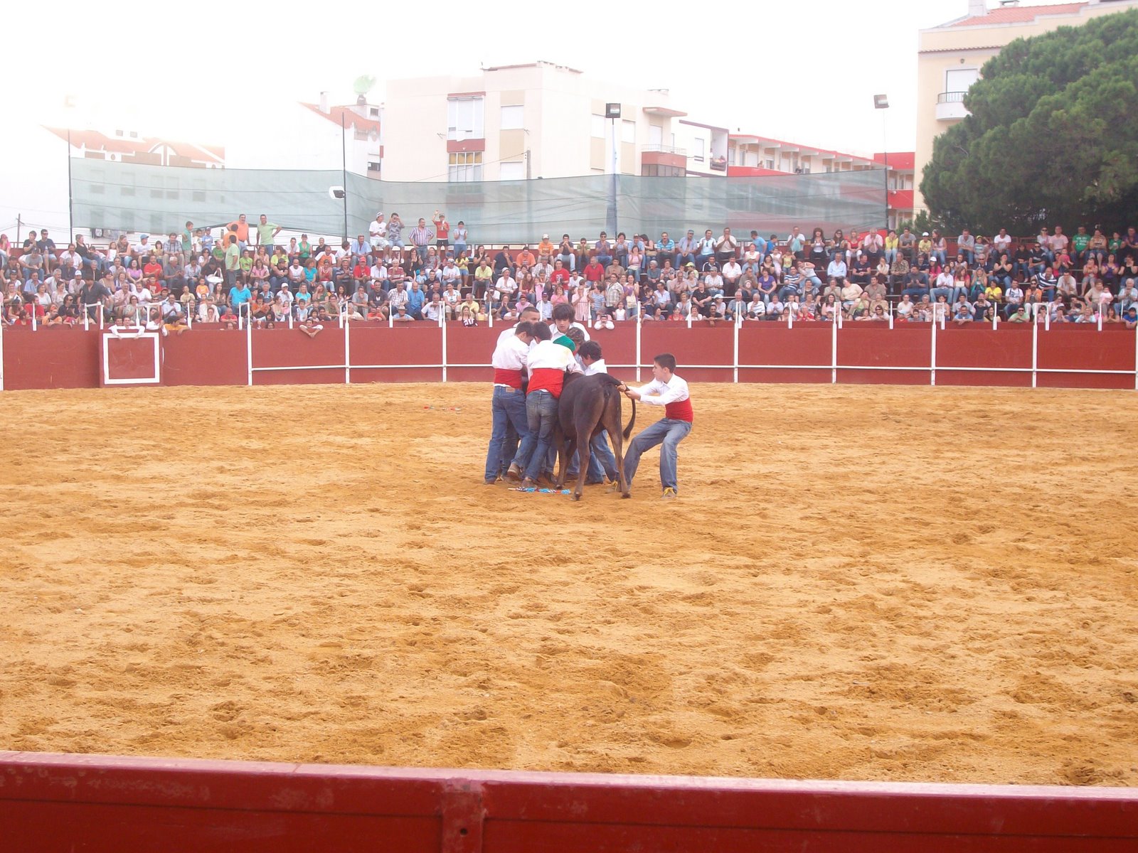 [SANY2918.JPG]