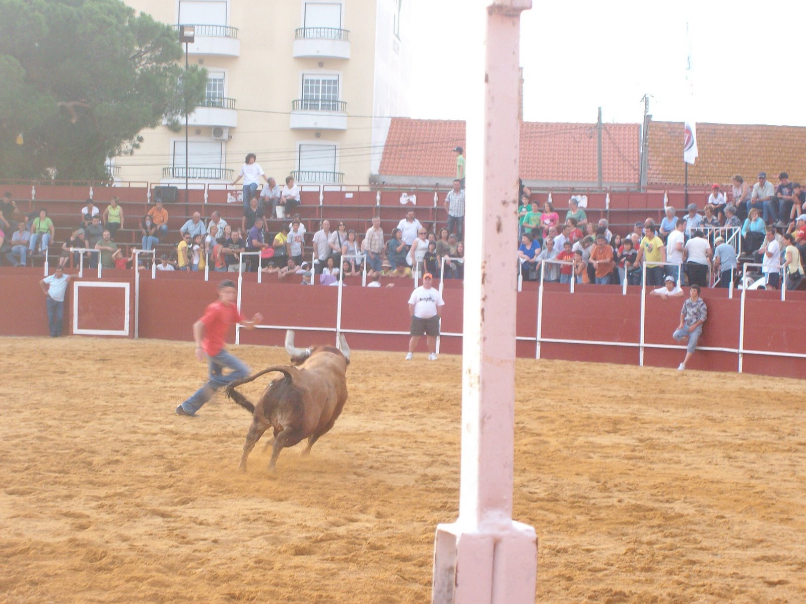 [SANY2945.JPG]