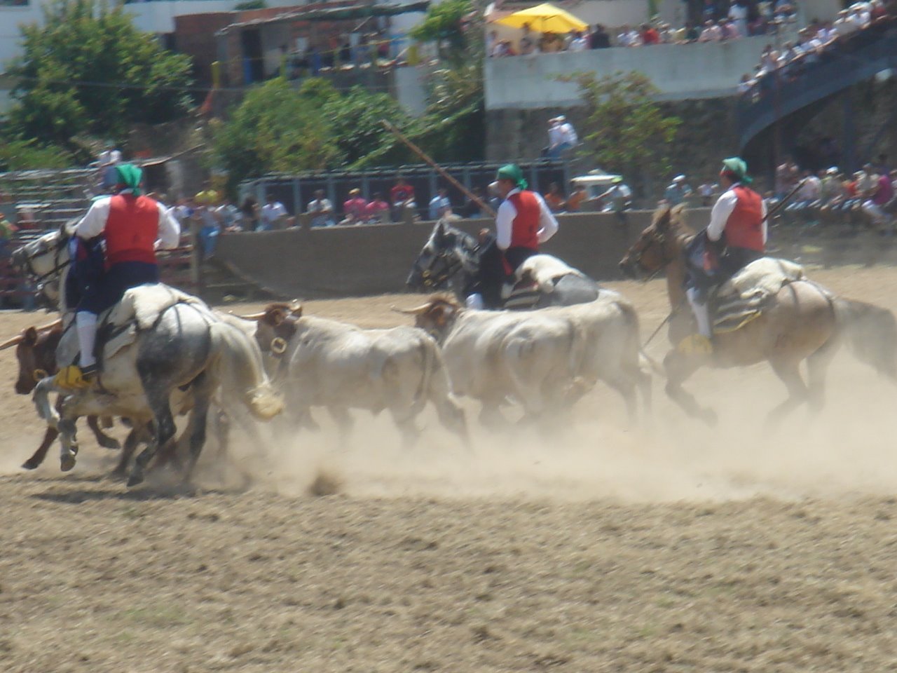 [DSC09147.JPG]