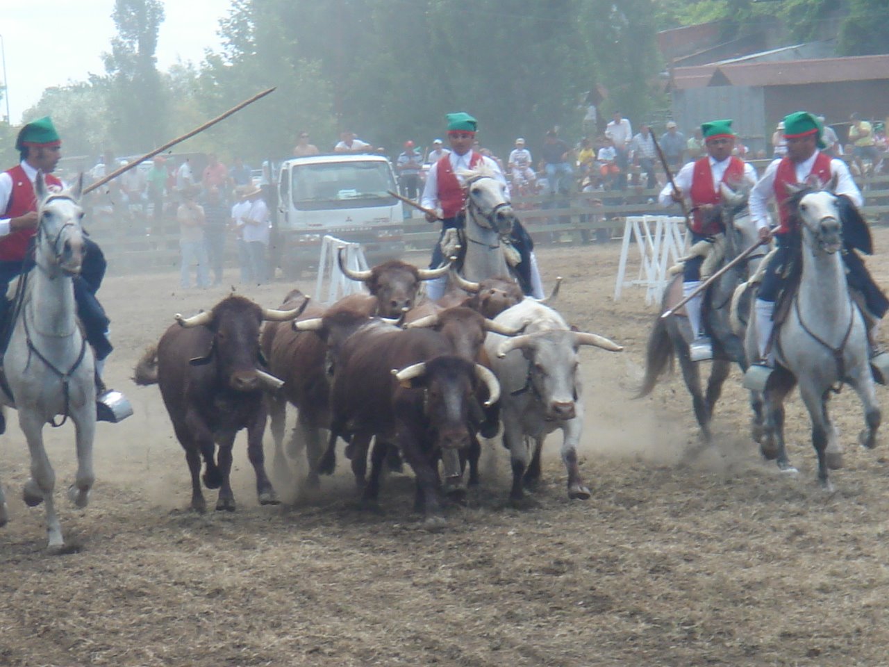 [DSC09107.JPG]