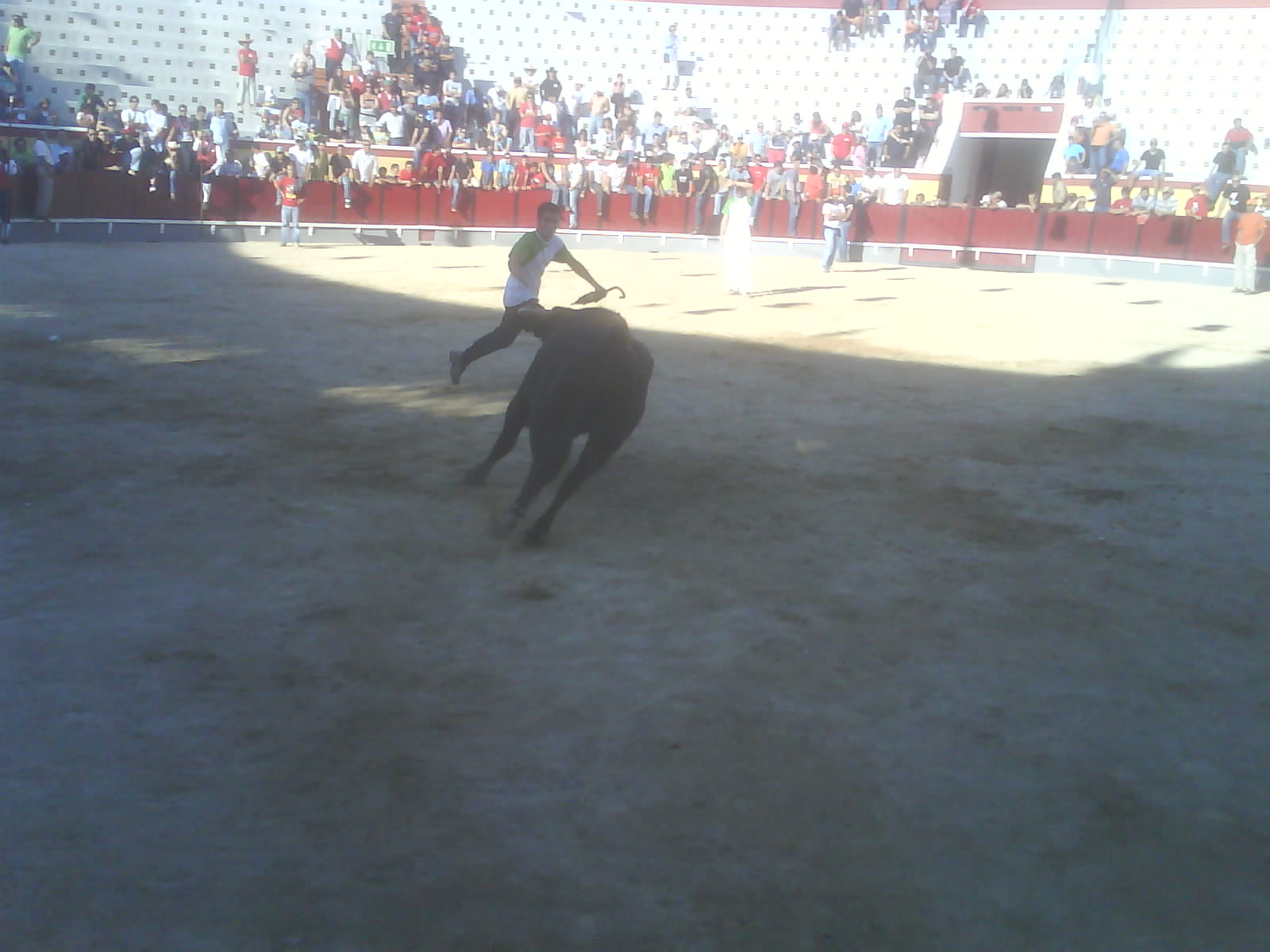 [DSC00955.JPG]