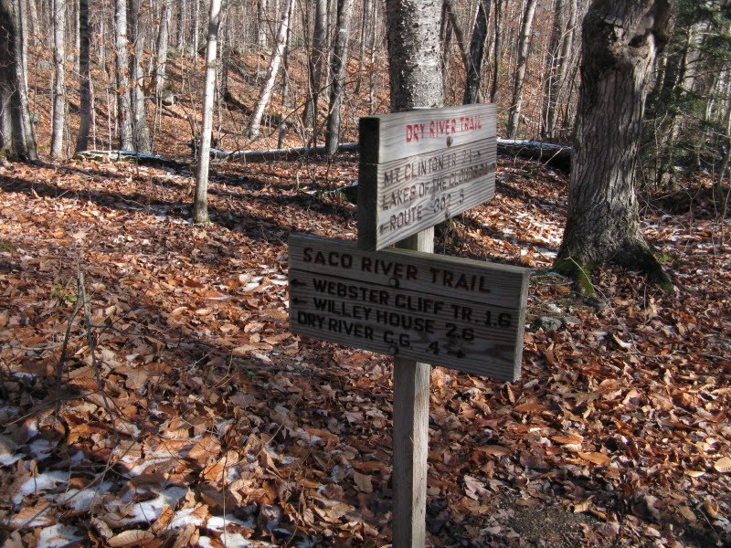 The hardwoods rule along most