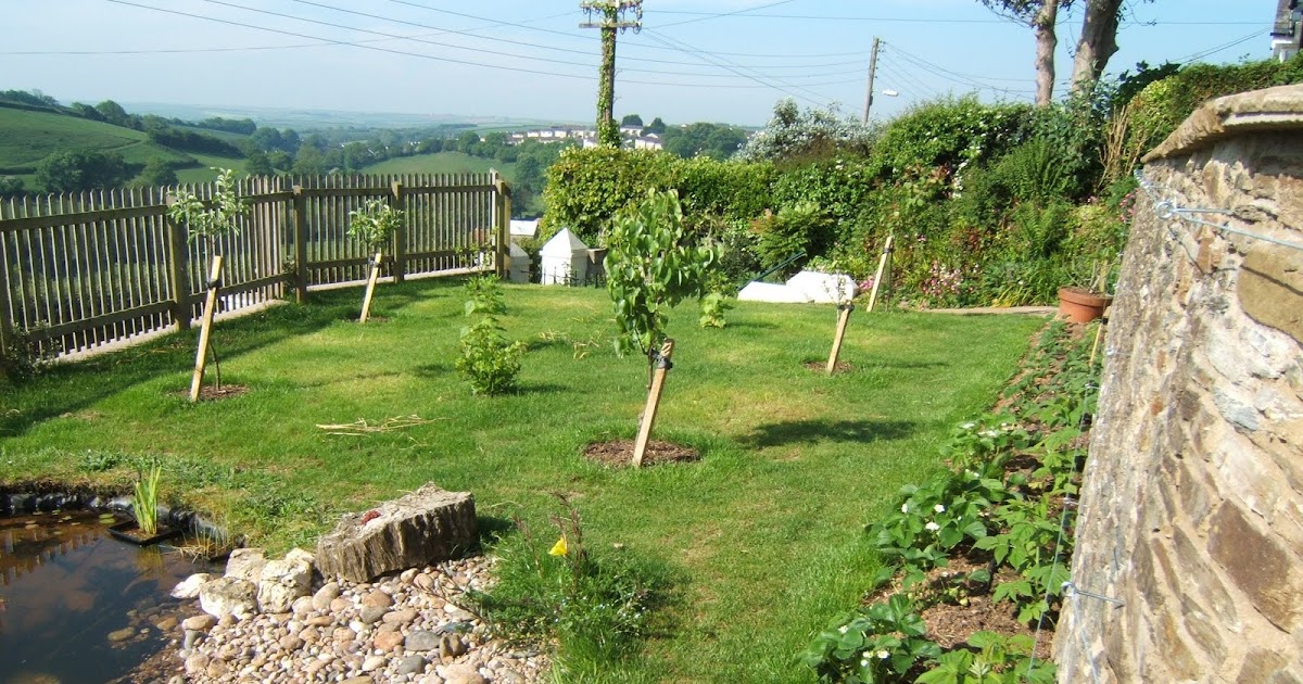 A year in the life of.....: The Fruit Garden