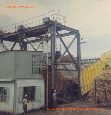 [LuaboSenaSugar3.bmp]