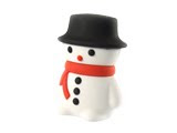 Winter USB drive Winter USB drive