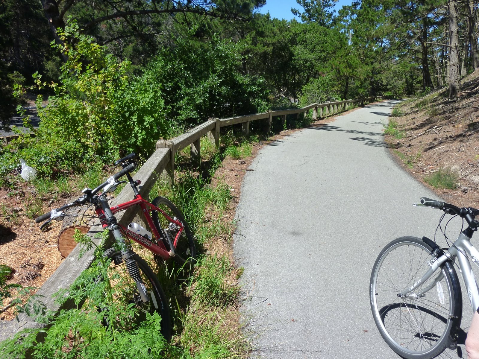 planbike Cycling Monterey to Carmel and Back