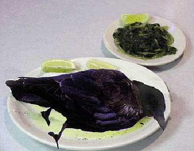 [Image: crow.jpg]