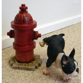 [fire_hydrant.jpg]