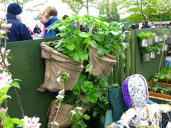 Garden Ideas Vegetable Garden Ideas Vegetable