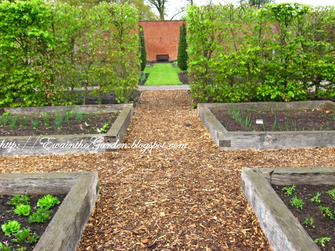 Ewa in the Garden 22 Pictures of English Vegetable Garden