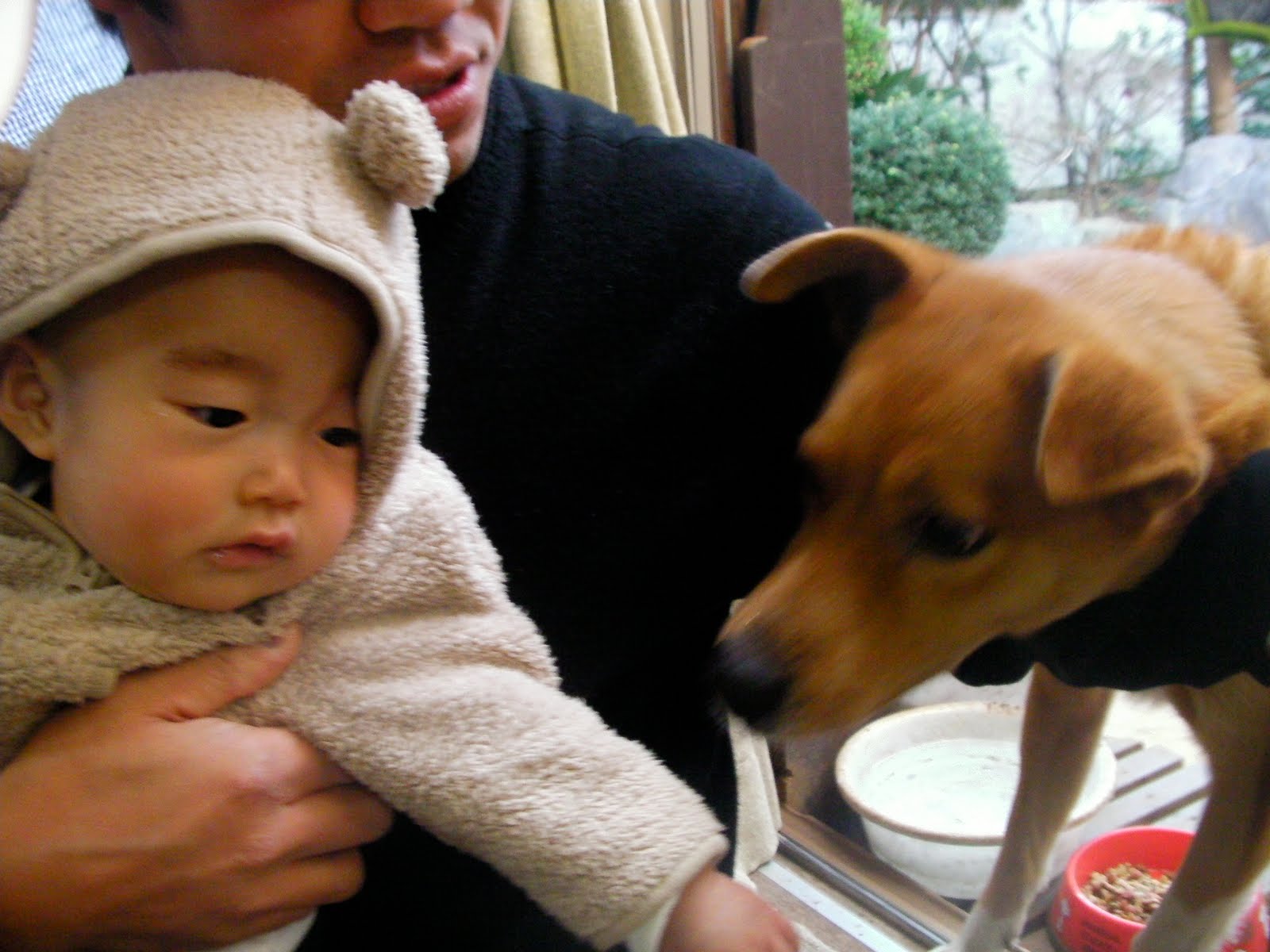 [SANY0103.JPG]