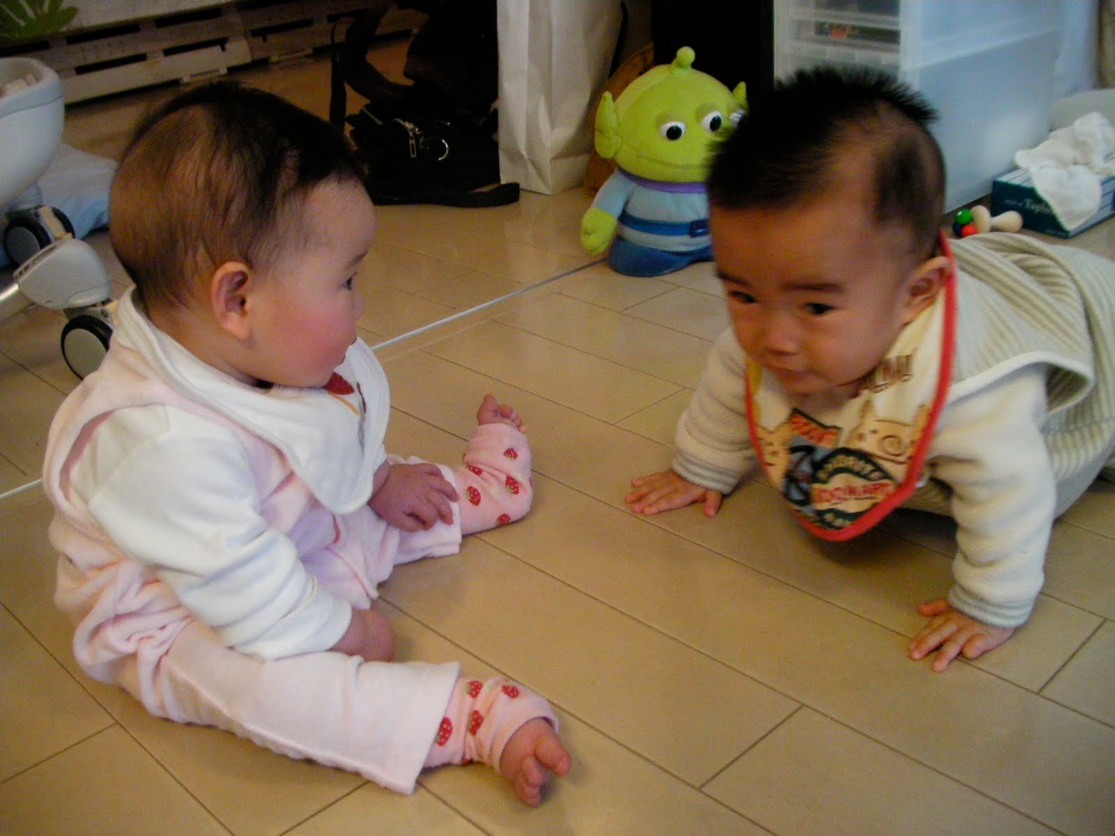 [SANY0074.JPG]