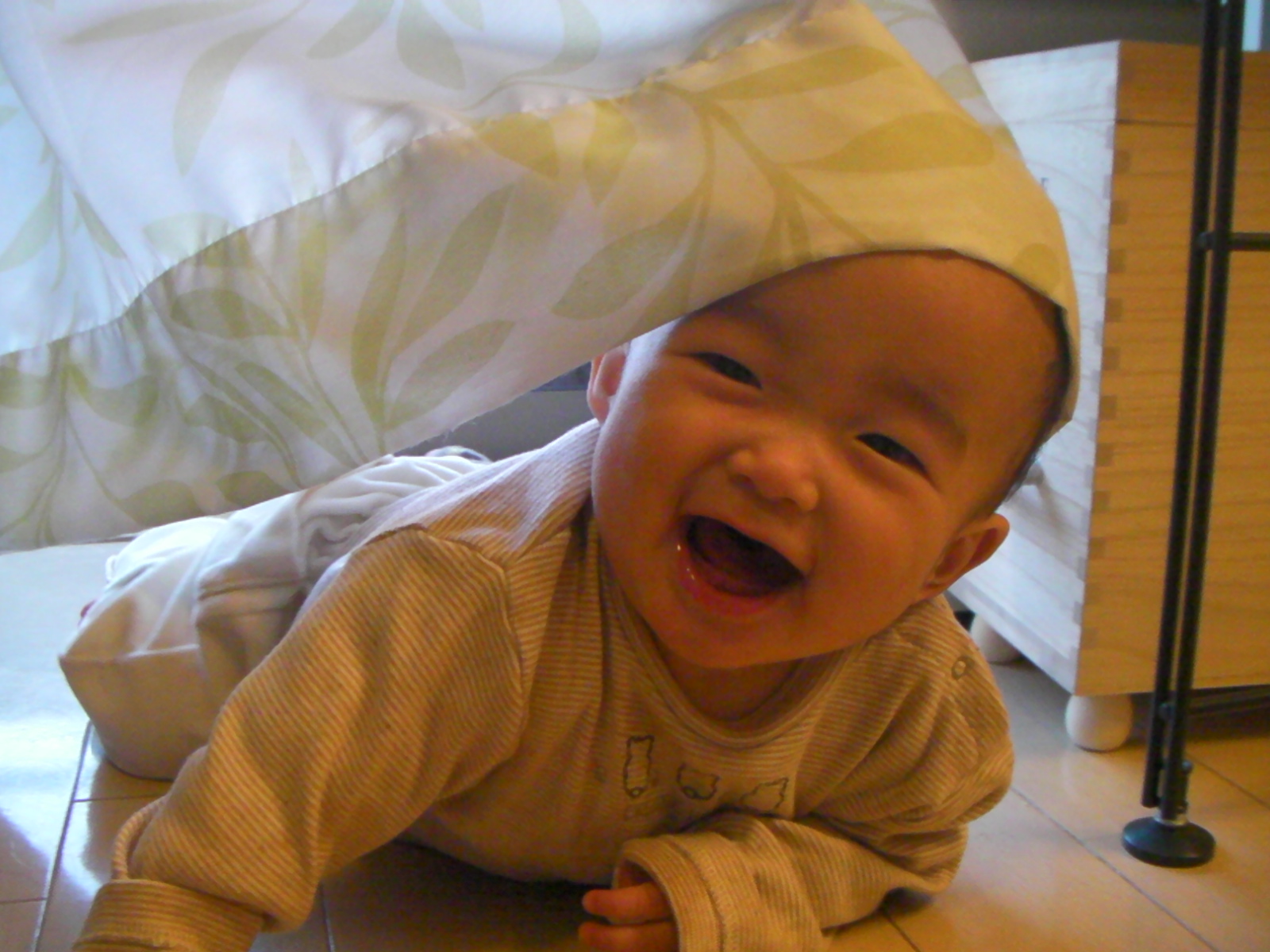 [SANY0054.JPG]