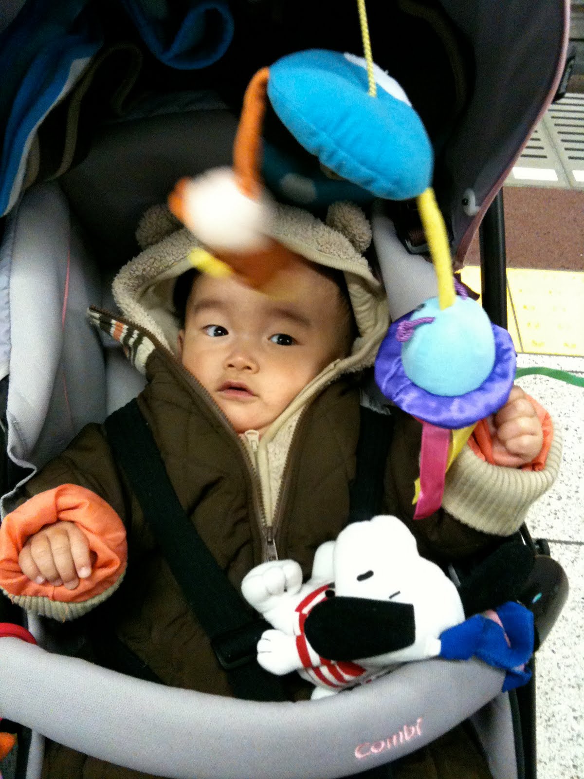 [IMG_0812.JPG]