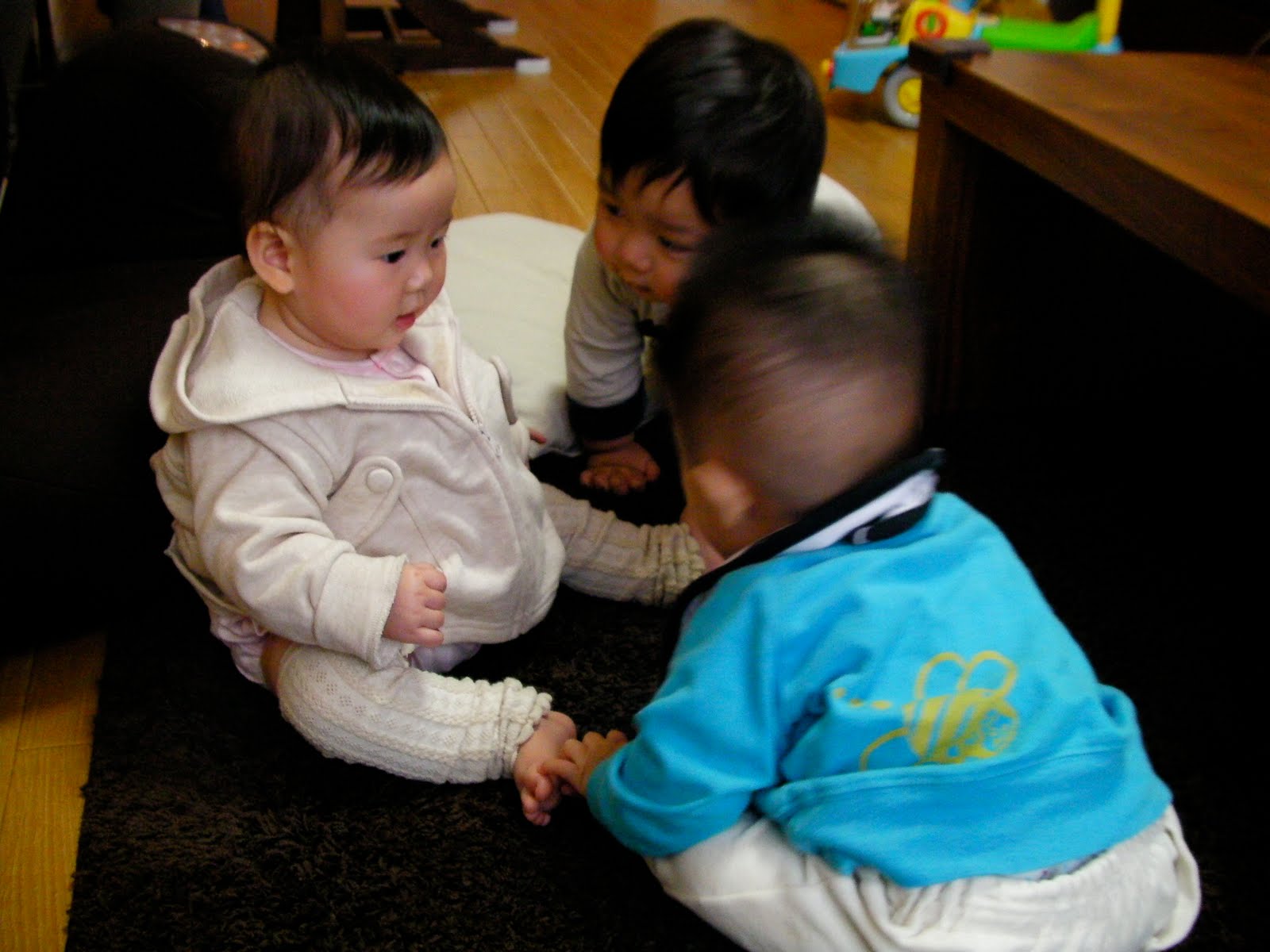 [SANY0040.JPG]