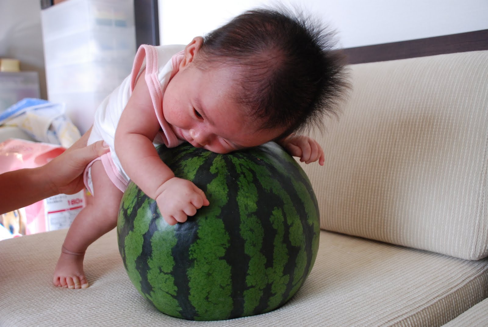 [DSC_4995.JPG]