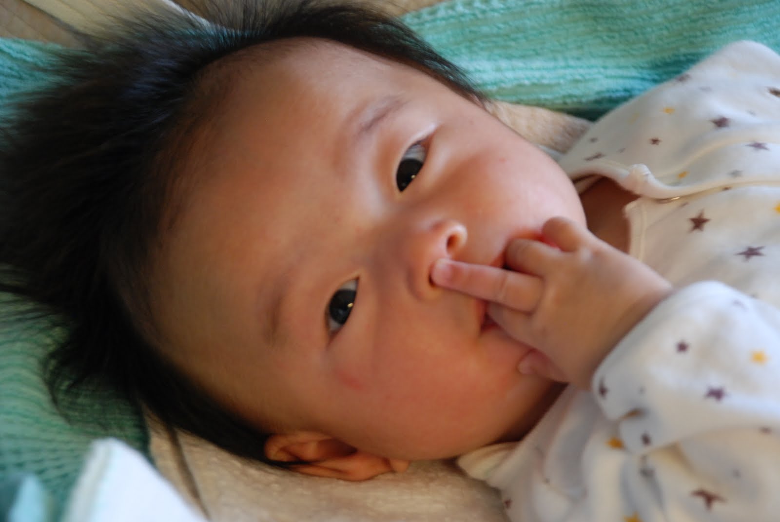 [DSC_5433.JPG]