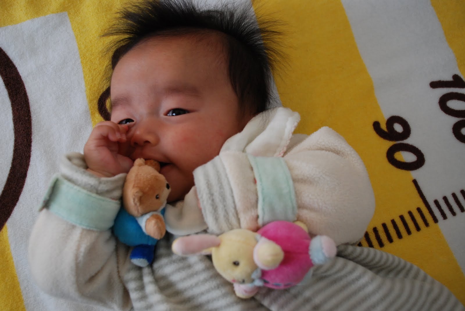 [DSC_5845.JPG]