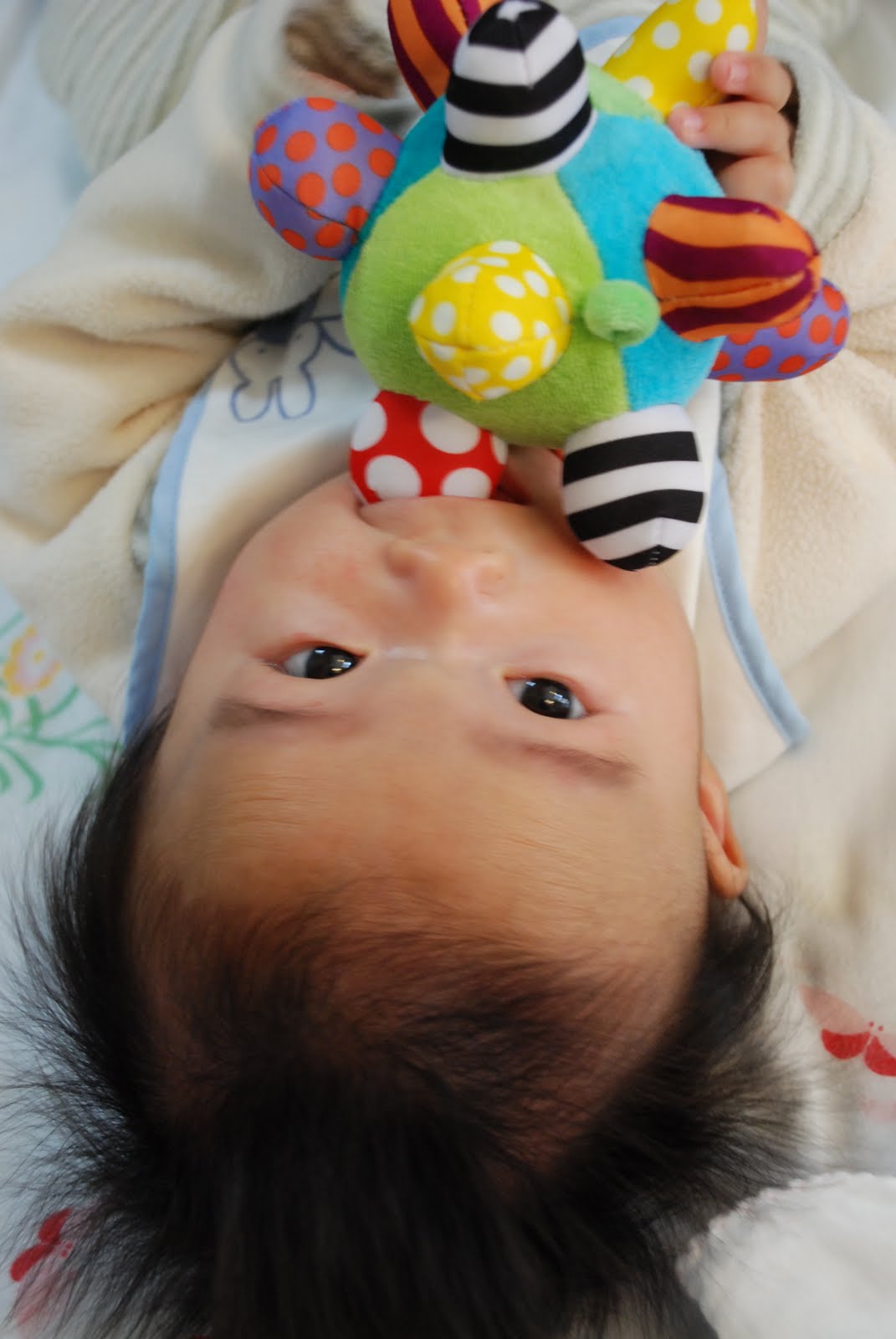 [DSC_5887.JPG]