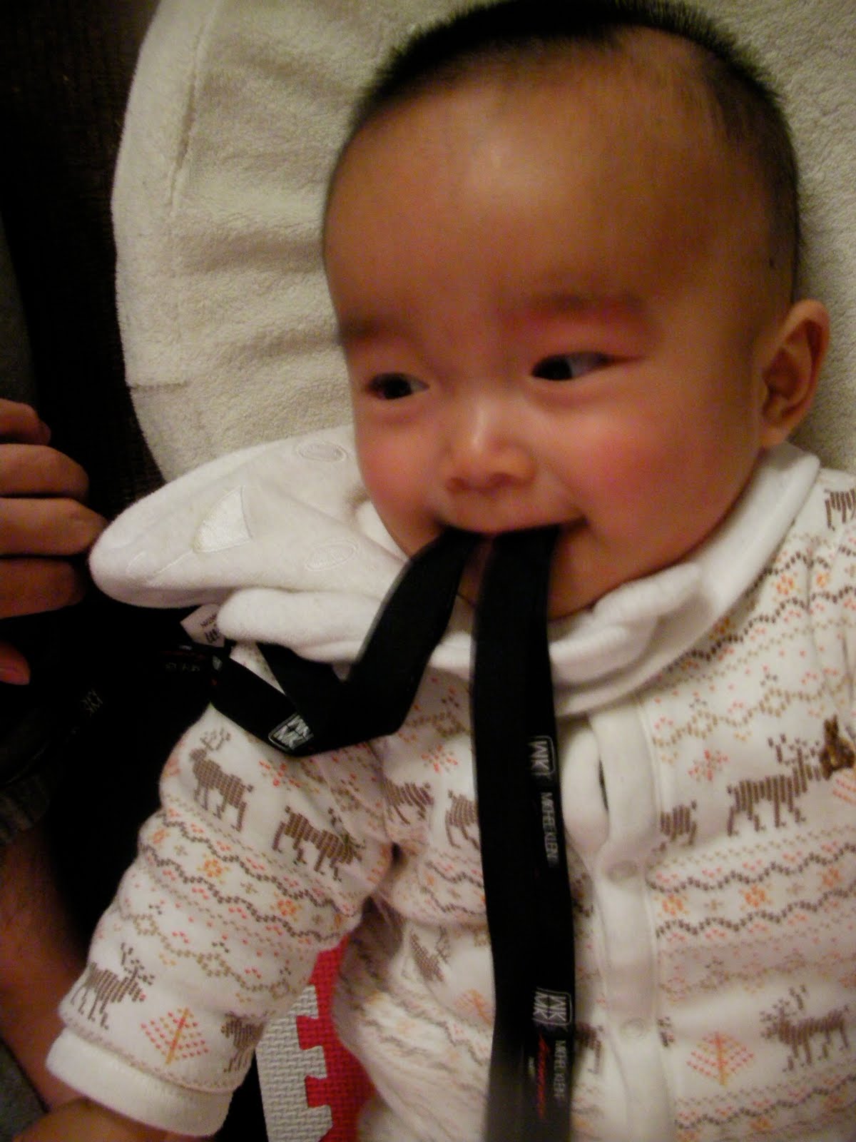 [SANY0009.JPG]