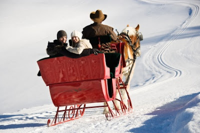 Sleigh Ride Winter Proposal