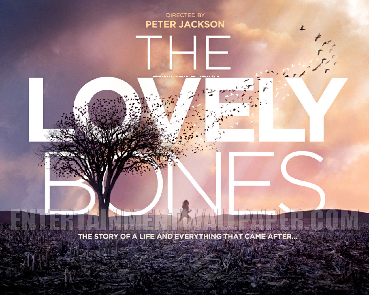 [the_lovely_bones02[1].jpg]