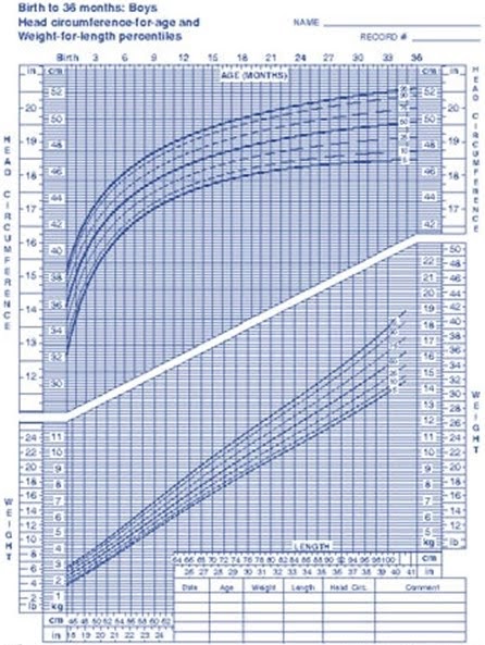 average weight of a 1 year old weight of average weight height chart 5 year old boy