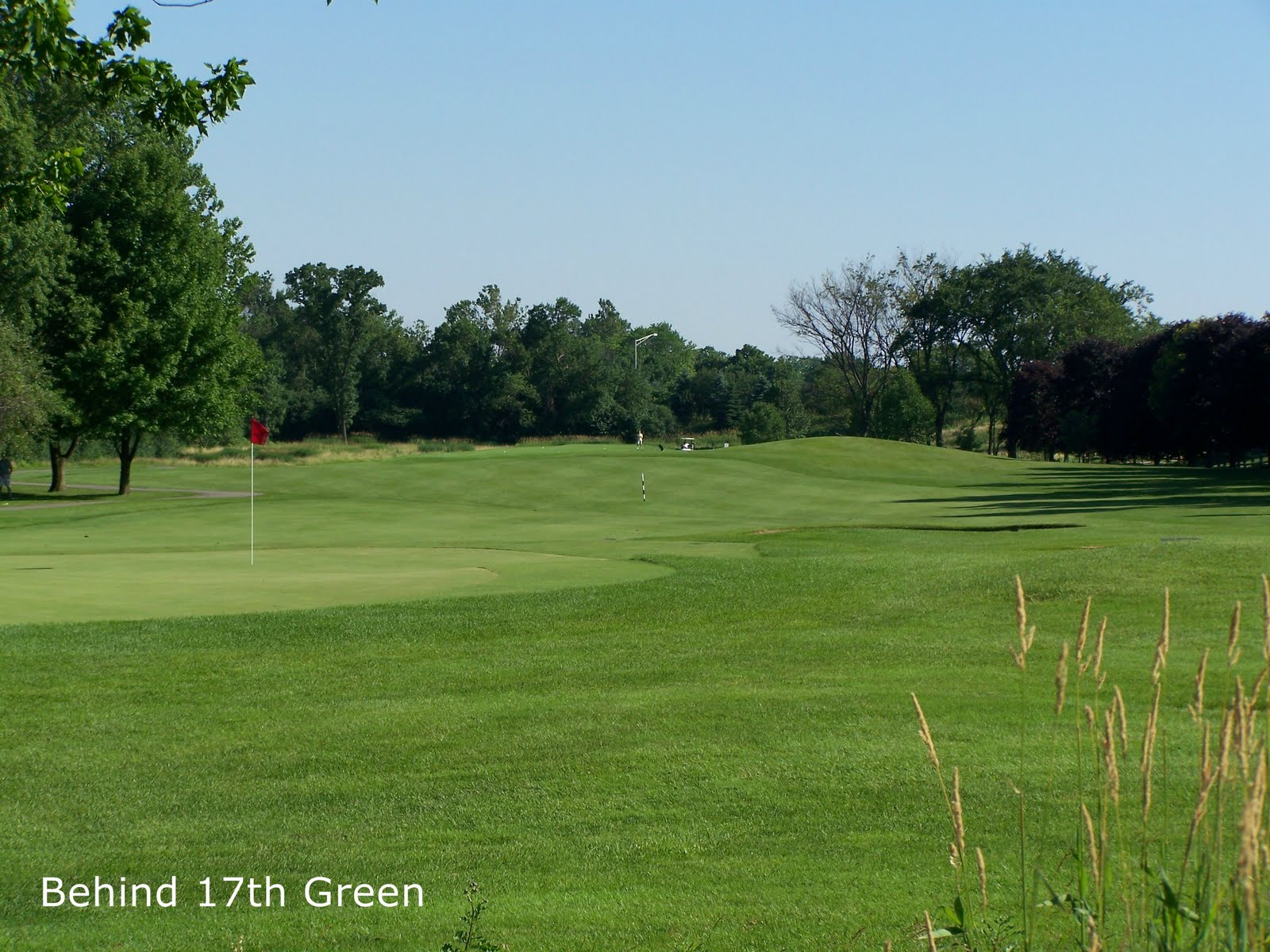 Windy City Public Golfers Guide Maple Meadows GC Wood Dale