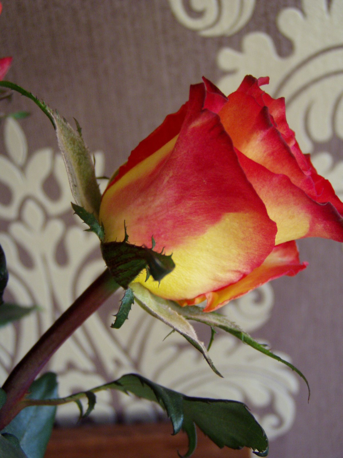 [P3040004.JPG]