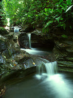 Stream... FileStream... get it? ;-)