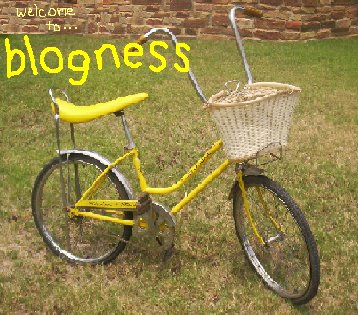 blogness