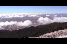 Valle de Caracas desde Naiguatá