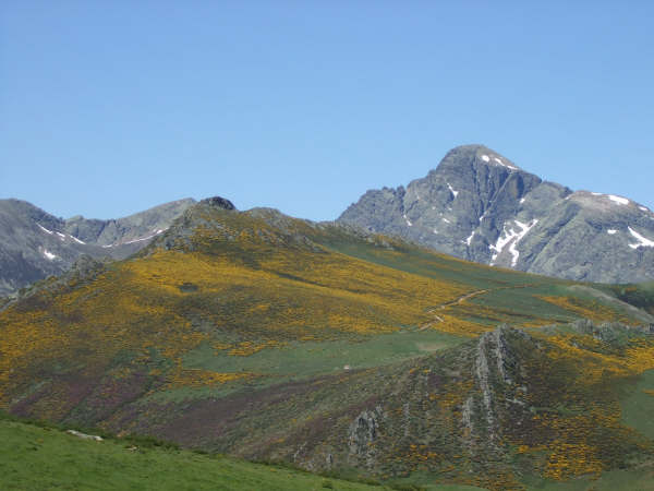 [Pico_Curavacas.bmp]