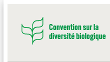 Rencontres internationales de la biodiversite marine et cotiere