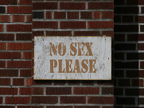 [6a00c2251f9511f21900d4142edd936a47-500pi.jpg]