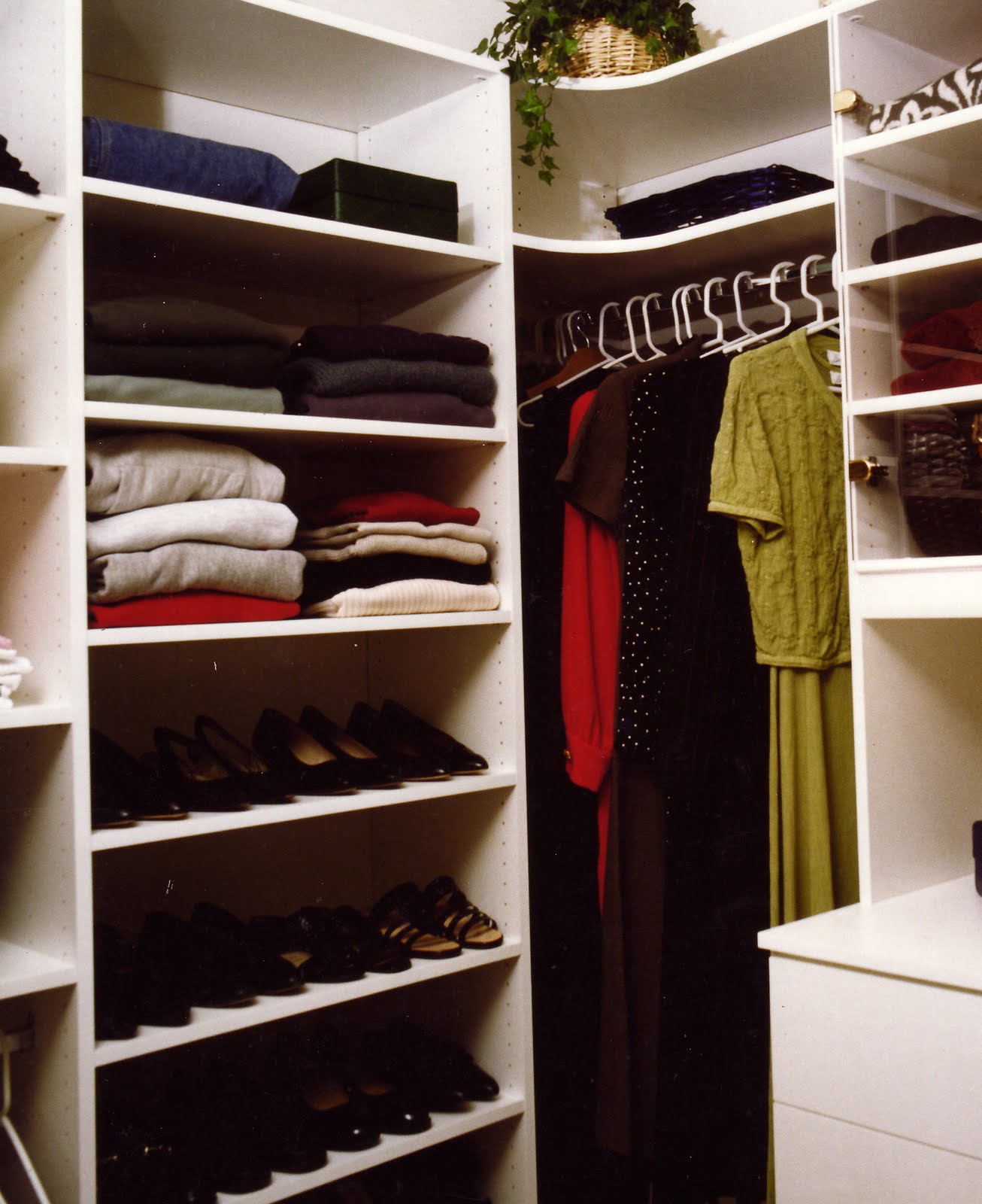 Malka In The Closet CUSTOM SHOE CLOSET STORAGE