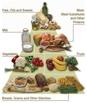 Healthy+food+choices