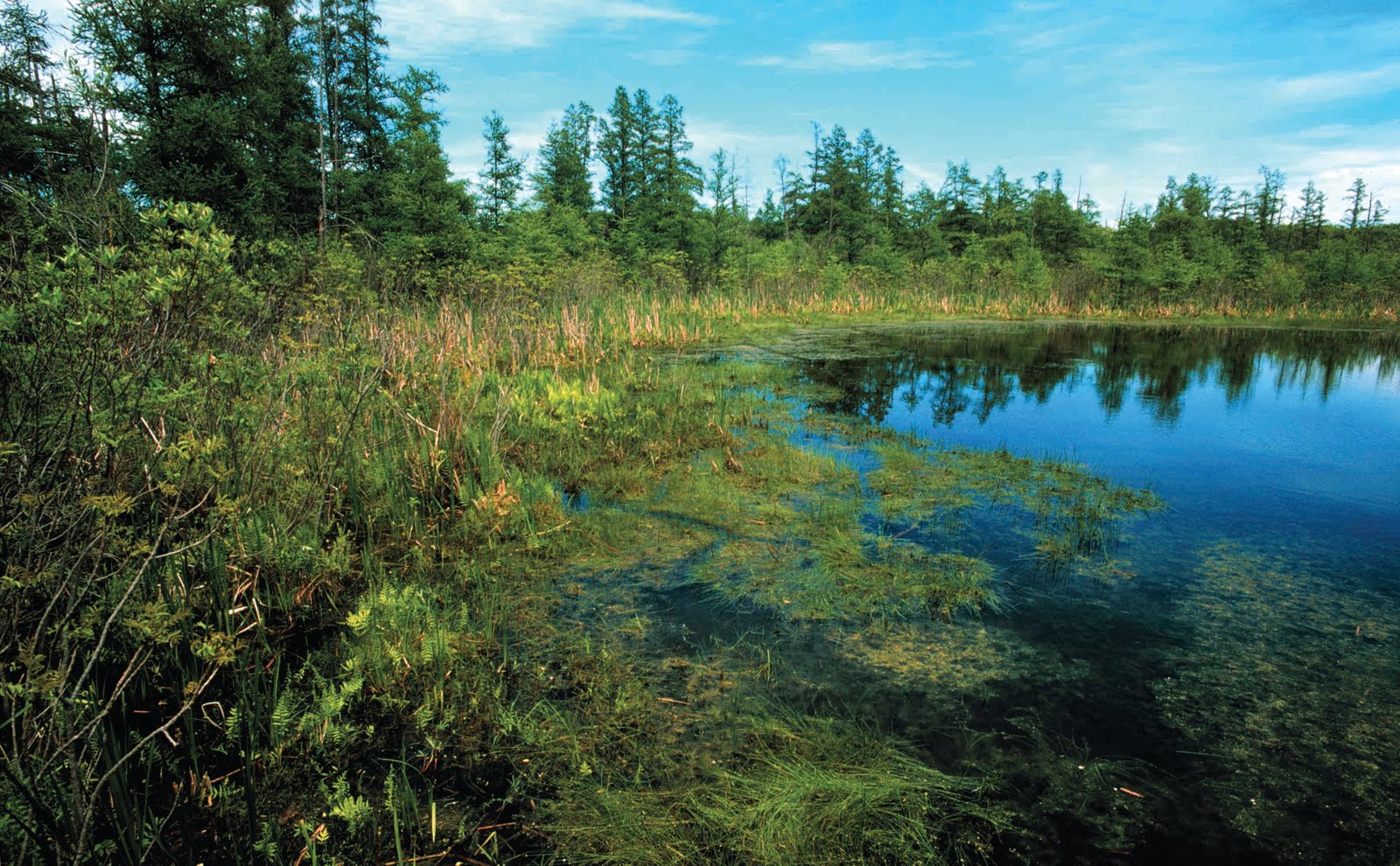 Lake Plain Explained! Lake Plain Explained!