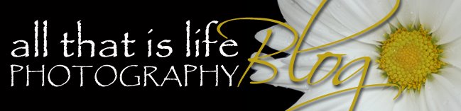 All That Is Life Photography