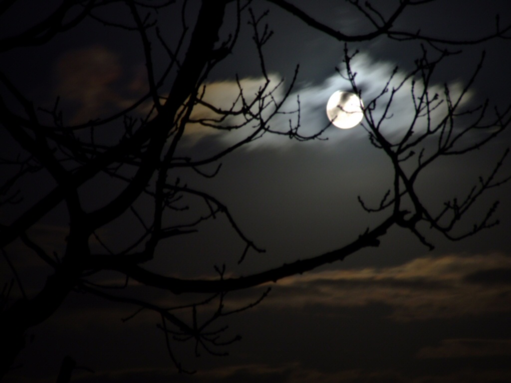 moonlight-ireland3.jpg