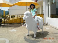 南投仁愛清境之旅