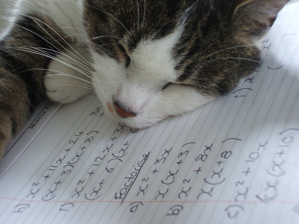 [maths_makes_me_sleepy_by_The_Silver_Pirate.jpg]