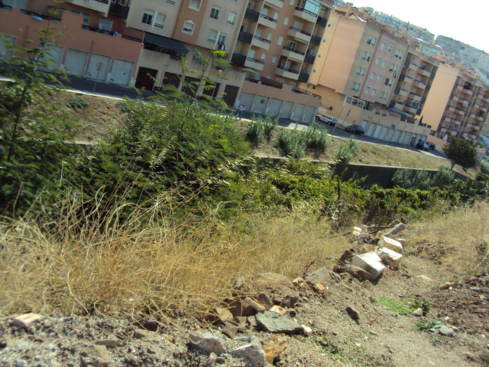 [DSC00178.JPG]