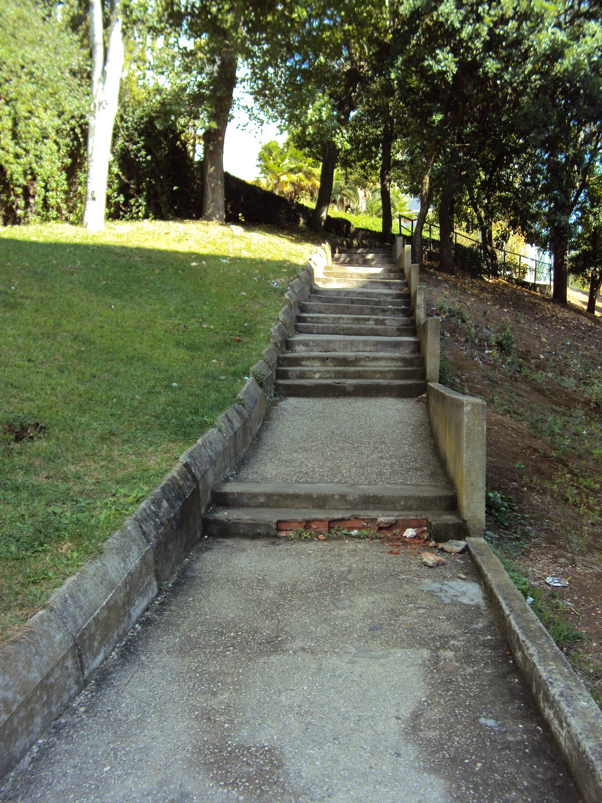 [DSC00168.JPG]