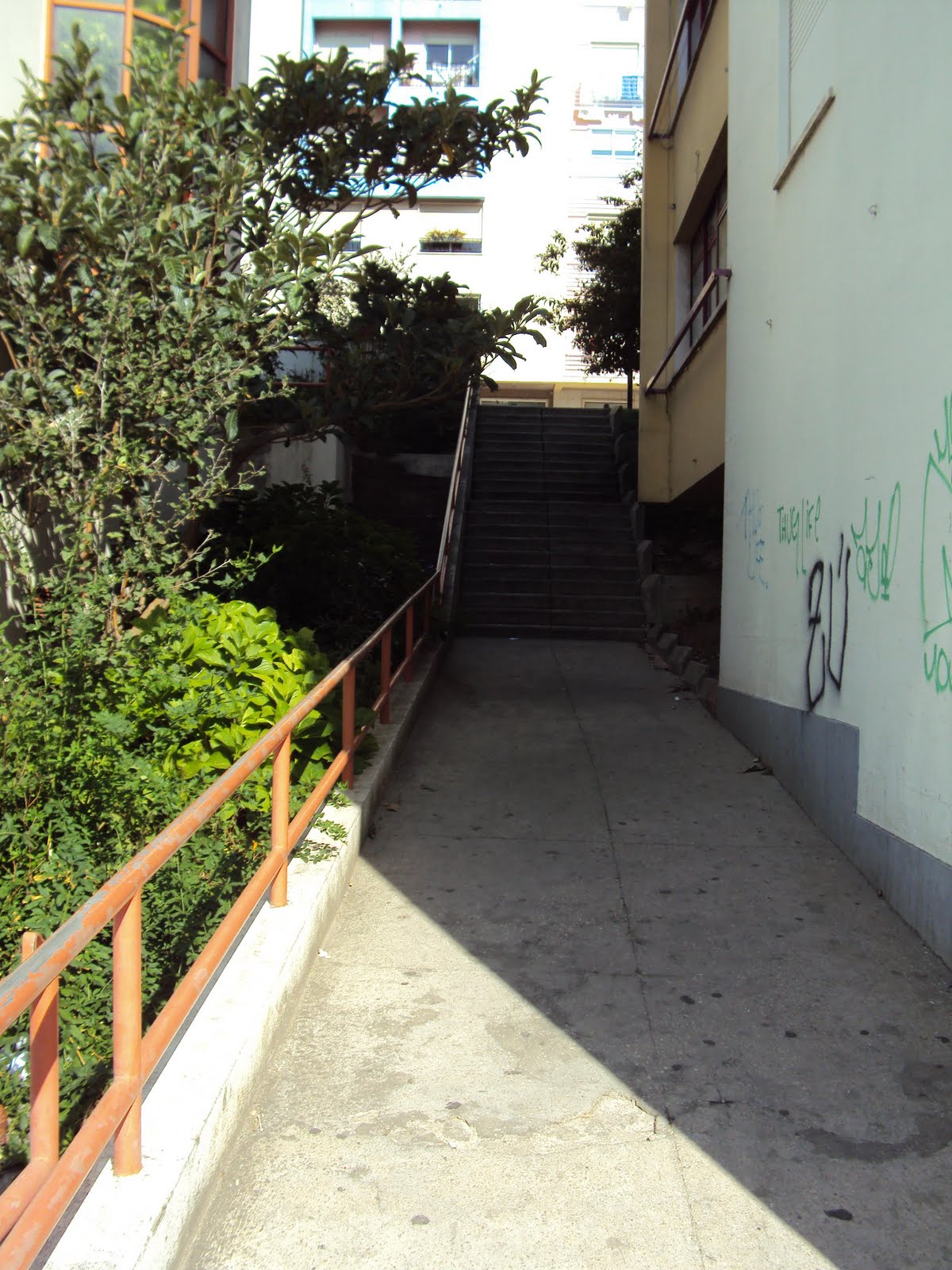 [DSC00163.JPG]