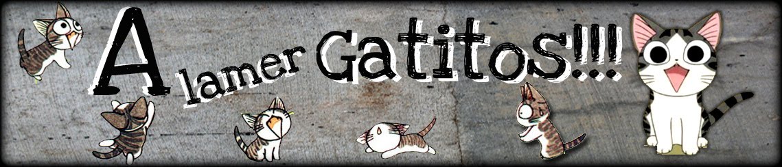 A Lamer Gatitos!!!