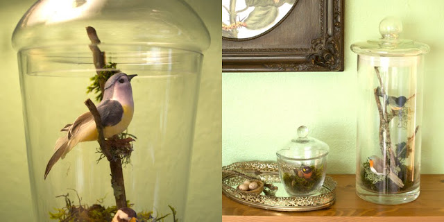 Install happy little fake birds in said apothecary jars along with some Install happy little fake birds in said apothecary jars along with some